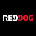 Казино RedDog