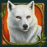 Символ Белый волк в Druids’ Dream