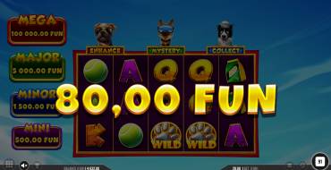 3 Top Dogs: Выигрыши