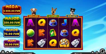 3 Top Dogs: Интерфейс