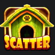 3 Top Dogs: Scatter