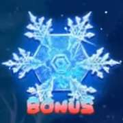 Символ Bonus в Snowing Luck