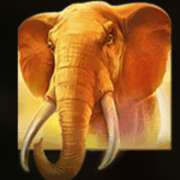 Символ Слон в Mighty Africa