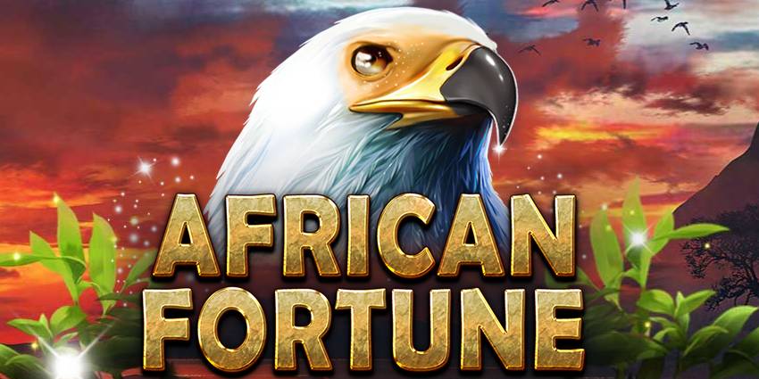 African Fortune