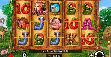 Barnyard Bonanza: Выплаты