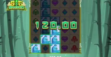 Big Bamboo: Выигрыши
