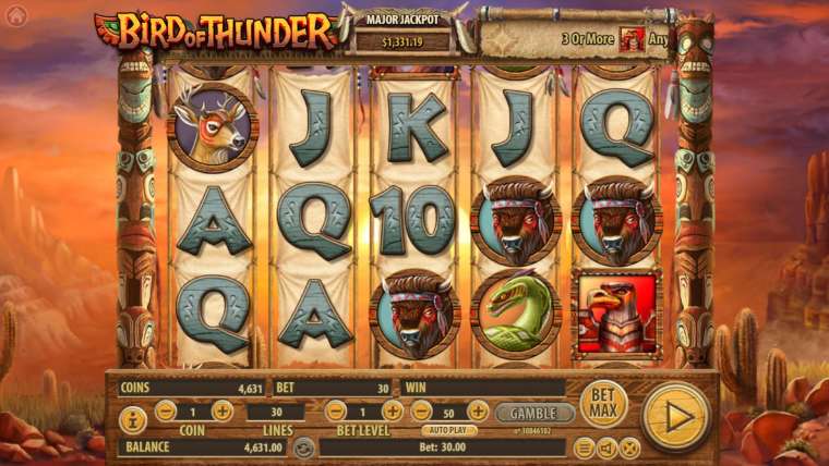 Видео покер Bird of Thunder демо-игра