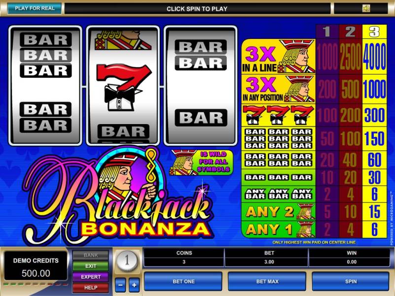 Blackjack Bonanza