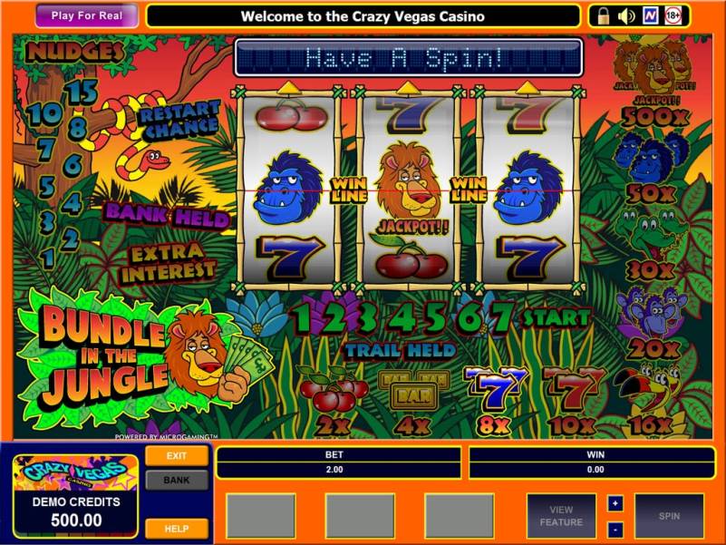Bundle in the Jungle 