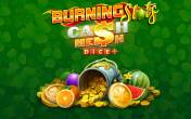 Burning Slots Cash Mesh Ultra Dice (демо-версия)
