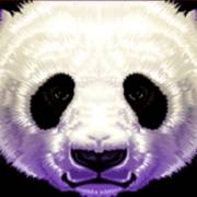 China Shores: Wild