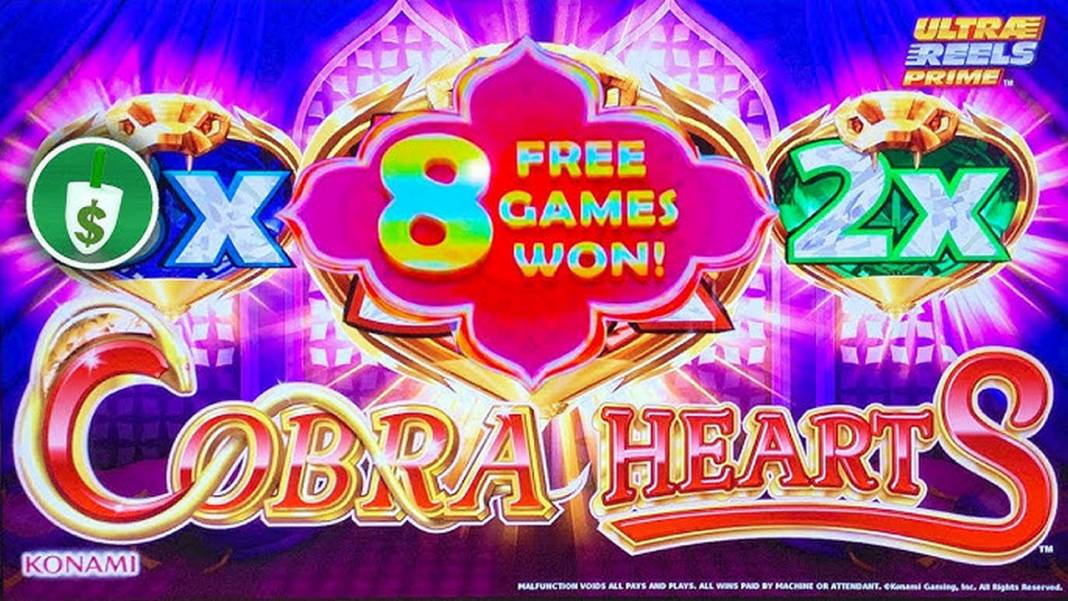 Cobra Hearts