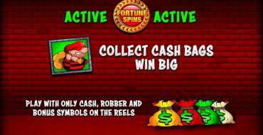 Cops`n`Robbers Bigger Big Money: Уникальные функции