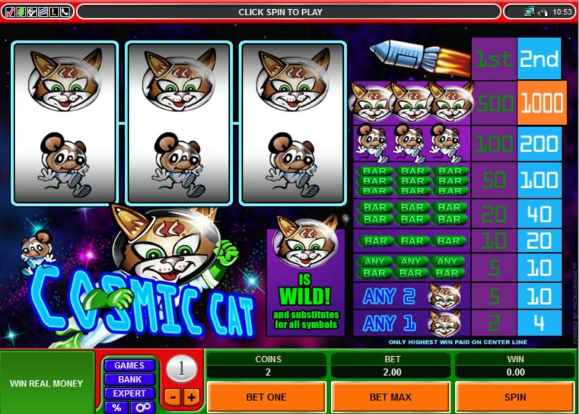 Cosmic Cat