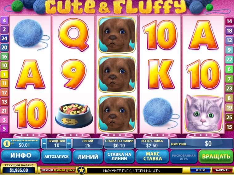 Видео покер Cute and Fluffy демо-игра