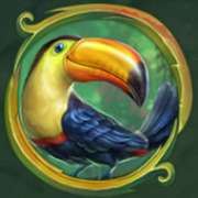 Символ Птица в Rainforest Magic