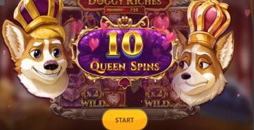 Doggy Riches Megaways: Уникальные функции