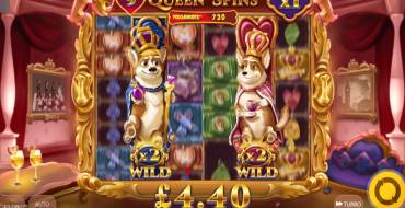 Doggy Riches Megaways: Уникальные функции