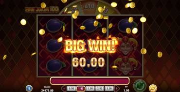 Fire Joker 100: Выигрыши