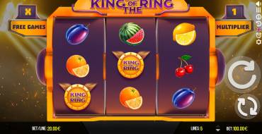 King Of The Ring: Интерфейс