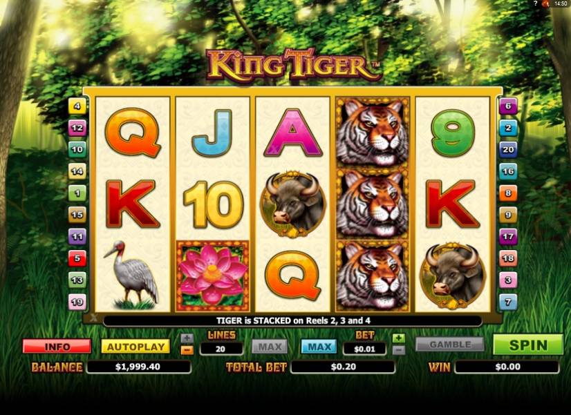 King Tiger