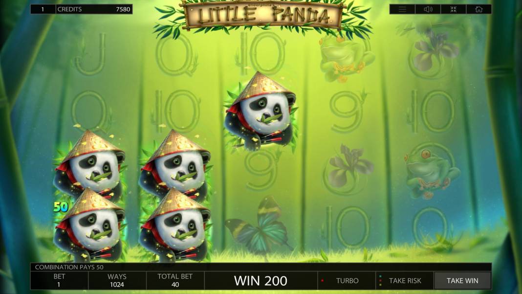 Little Panda