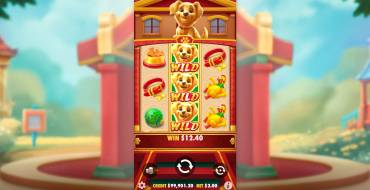 Lucky Dog: Выигрыши