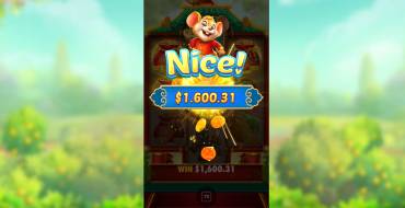 Lucky Mouse: Выигрыши