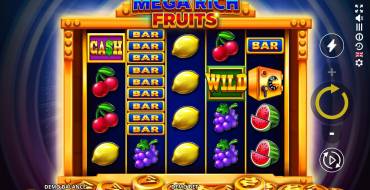 Mega Rich Fruits: Символы