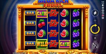Mega Rich Fruits: Интерфейс