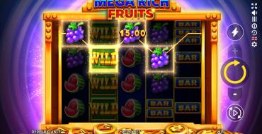 Mega Rich Fruits: Активные линии