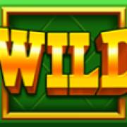 Mega Rich Fruits: Wild