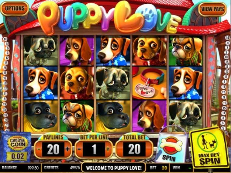 Видео покер Puppy Love демо-игра