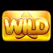 Символ Wild в Reel Rush 2