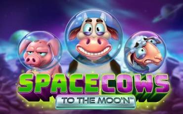 Space Cows to the Moo’n
