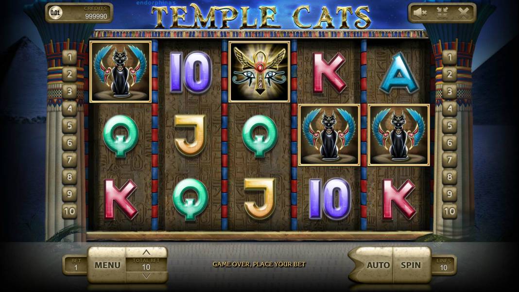 Temple Cats