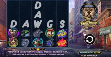 The Big Dawgs: Интерфейс