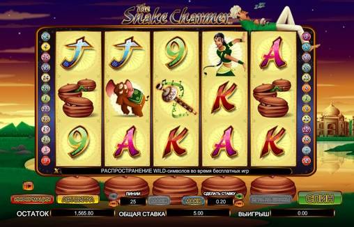 The Snake Charmer