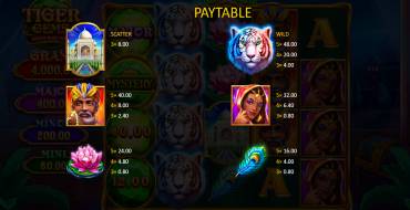 Tiger Gems: Hold and Win: Таблица выплат