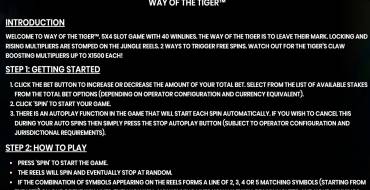Way of the Tiger: Правила