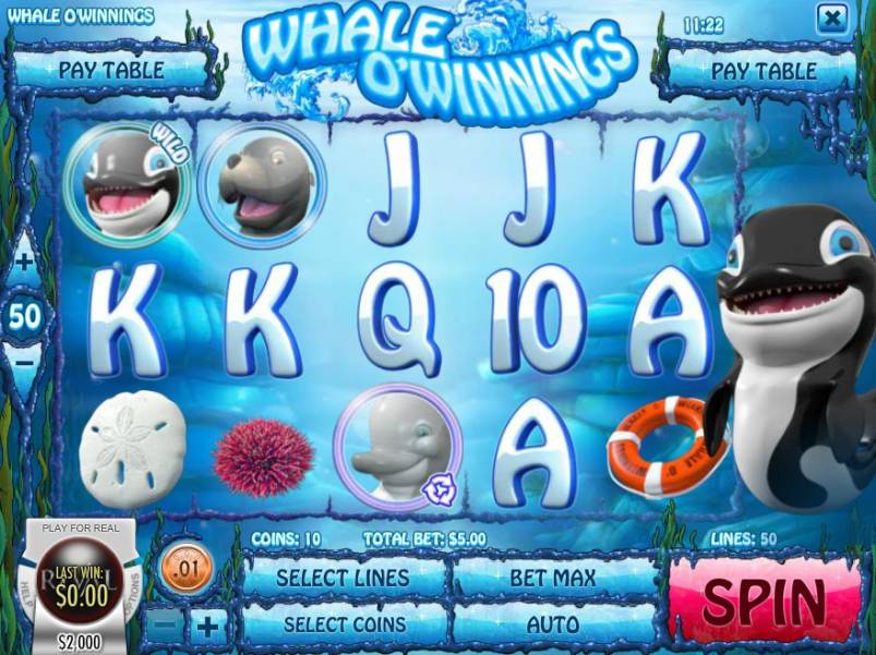 Whale O’ Winnings