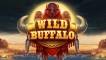Wild Buffalo (демо-версия)