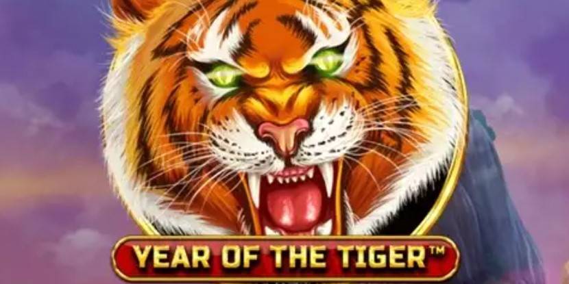 Year of the Tiger