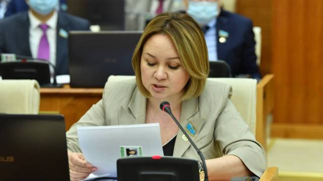 Критика работы судебных исполнителей из уст депутата Имашевой