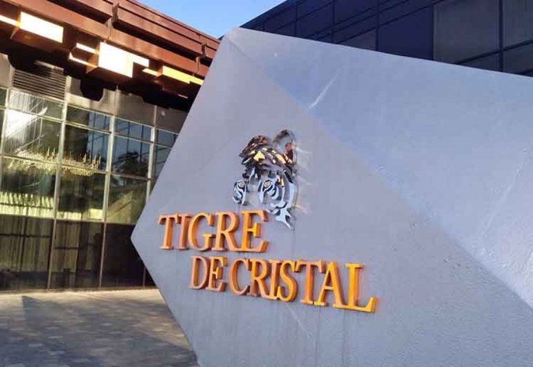 Особенности бизнеса Tigre de Cristal 